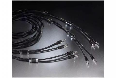 Esprit - Celesta G9 HP - Cable HP 2 x 3 M Banane / Banane 