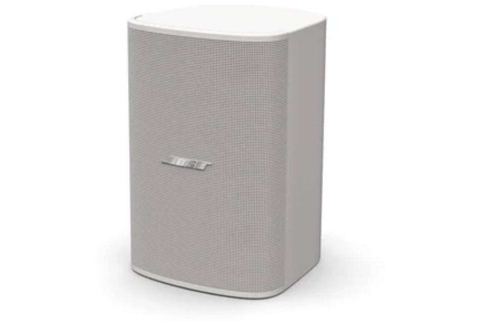 Bose Professional - DesignMax DM5SE- Enceinte surface ( La paire )
