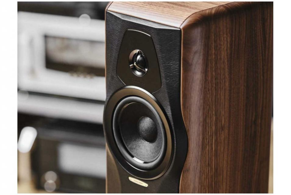 Sonus Faber - Maxima Amator Enceintes colonne 2 voies bass-reflex