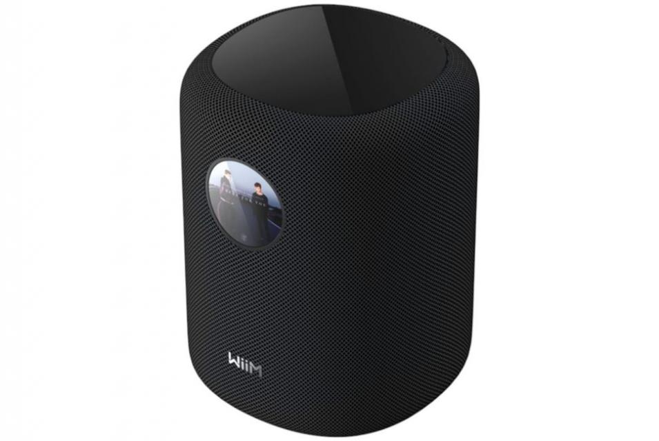 WiiM - Sound Display - Enceinte connecté Wifi Multiroom