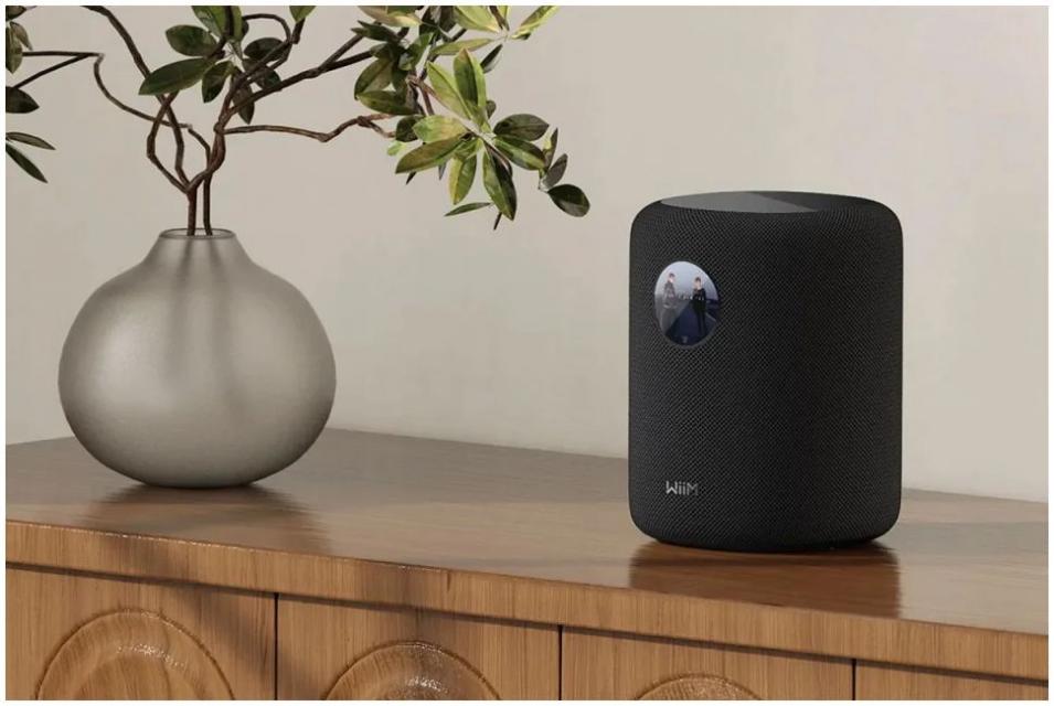 WiiM - Sound Display - Enceinte connecté Wifi Multiroom