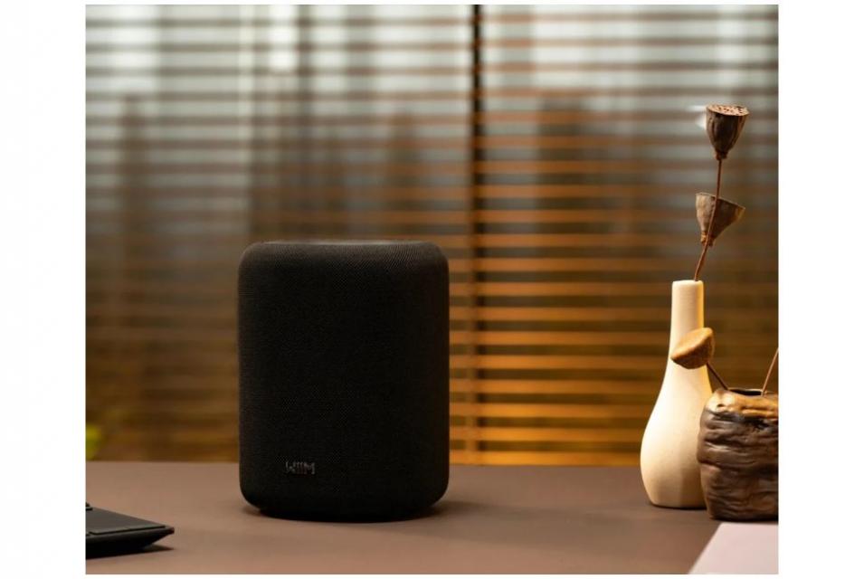 WiiM - Sound Lite - Enceinte connecté Wifi Multiroom WiiM - Sound Lite - Enceinte connecté Wifi Multiroom