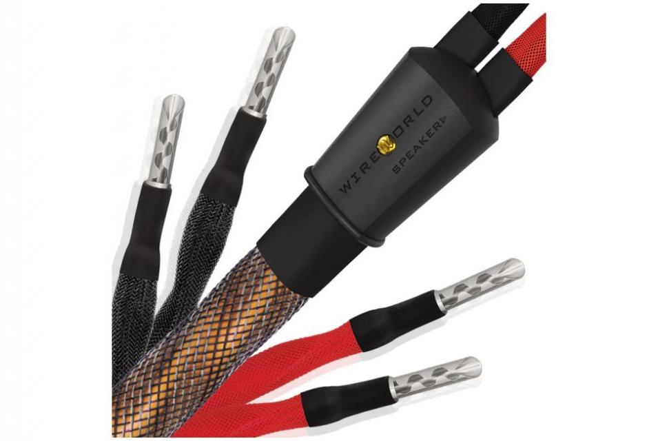 Wireworld -  Eclipse 10 - Set câbles HP prémontés ( Fourche ou Banane ) 2x 3M