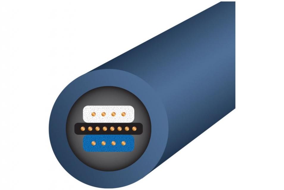 Wireworld - Oasis 10 Câble caisson de grave