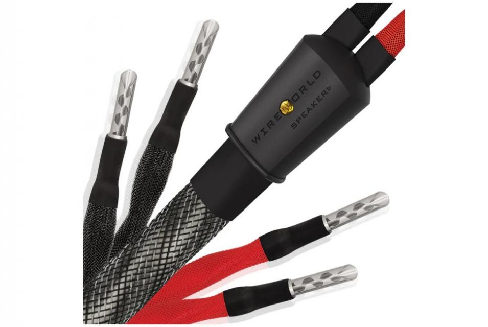 Wireworld - Silver Eclipse 10 - Set câbles HP prémontés ( Fourche ou Banane ) 2x 3M