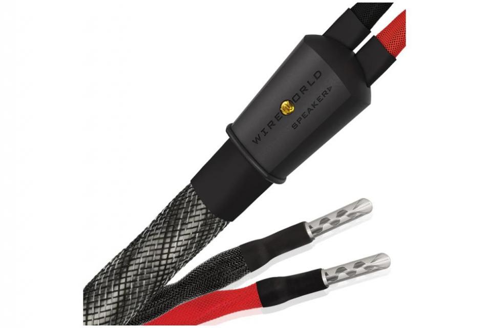 Wireworld - Silver Eclipse 10 - Set câbles HP prémontés ( Fourche ou Banane ) 2x 3M