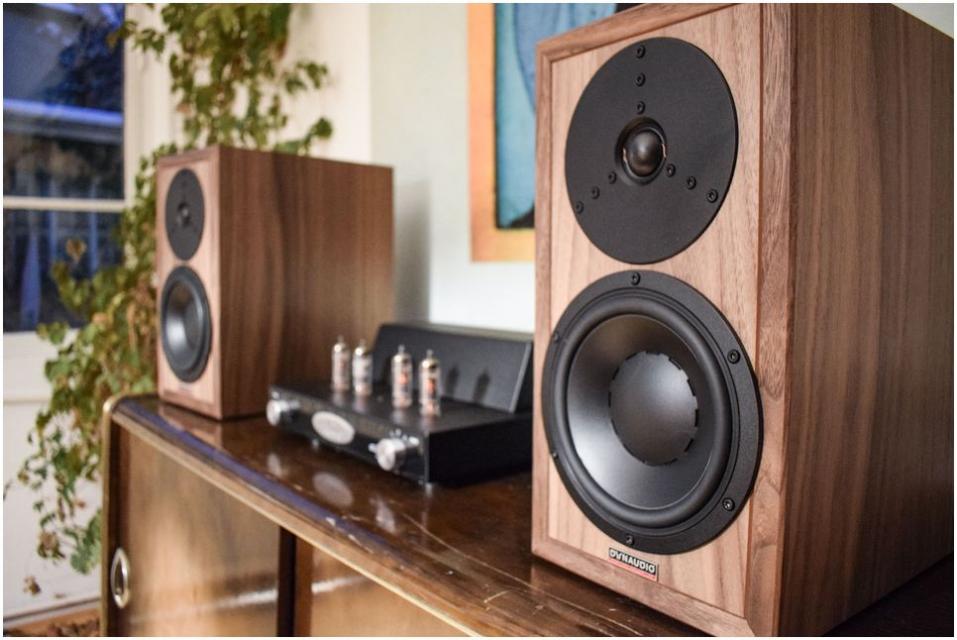 Dynaudio - Heritage Special Enceintes bibliothèque 2 voies bass-reflex Limited