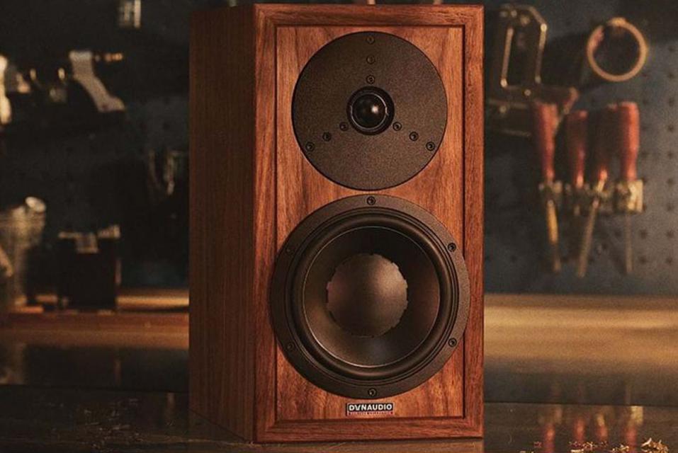 Dynaudio - Heritage Special Enceintes bibliothèque 2 voies bass-reflex Limited